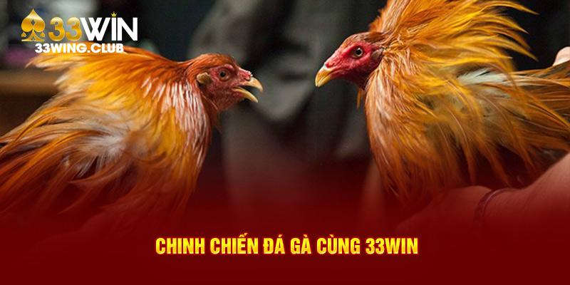 Chinh chiến đá gà cùng 33Win